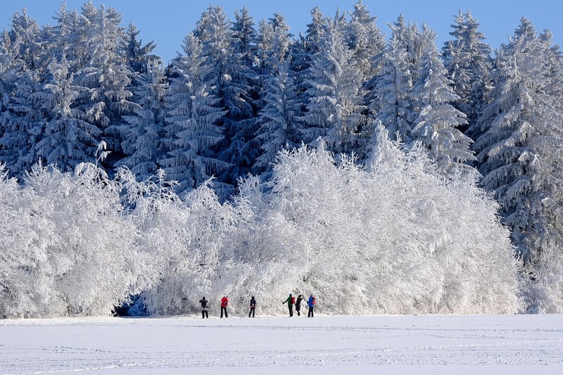 Survival in winter conditions